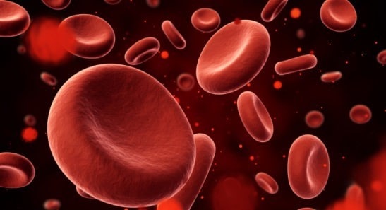 Different types of blood cell disorders