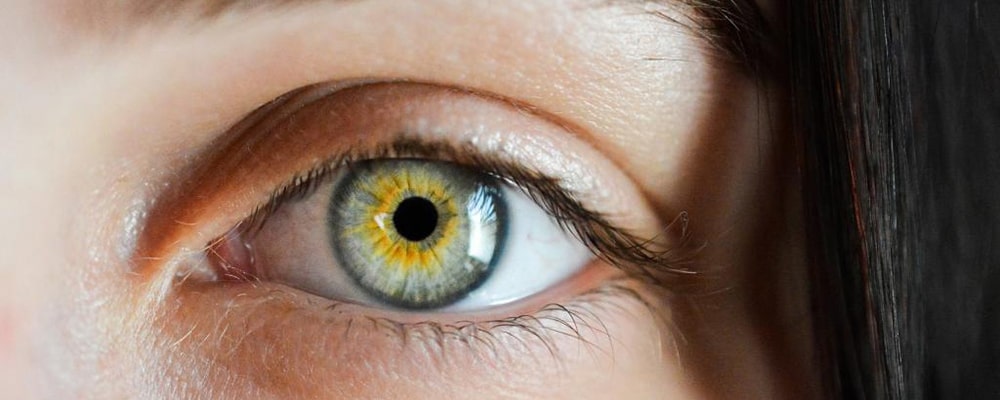 An introduction to human’s eye diseases