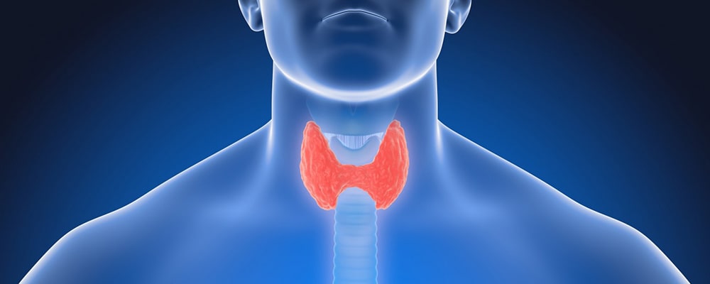 Different type of Thyroid disorders